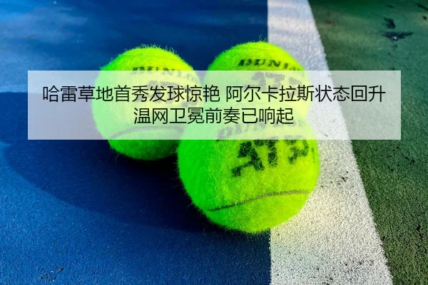 哈雷草地首秀发球惊艳 阿尔卡拉斯状态回升 温网卫冕前奏已响起