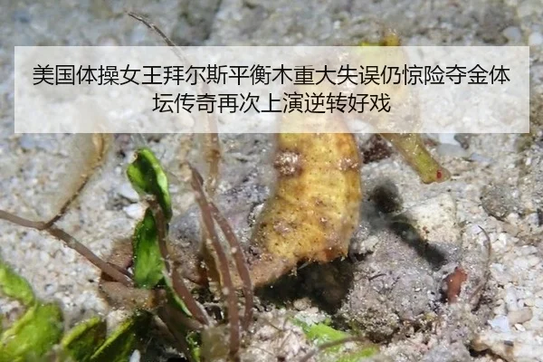 美国体操女王拜尔斯平衡木重大失误仍惊险夺金体坛传奇再次上演逆转好戏