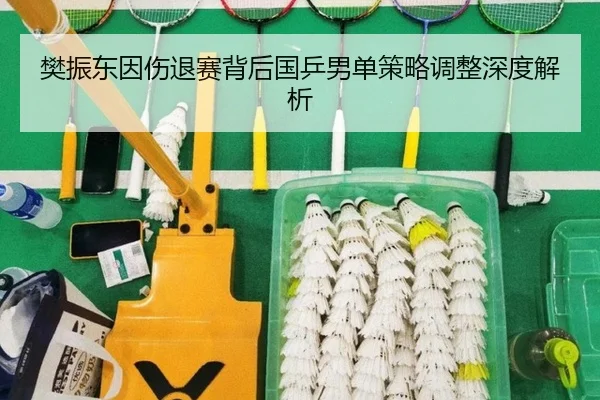 樊振东因伤退赛背后国乒男单策略调整深度解析