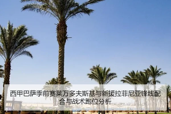 西甲巴萨季前赛莱万多夫斯基与新援拉菲尼亚锋线配合与战术跑位分析